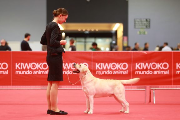 Torrepacheco 08.11.2025 